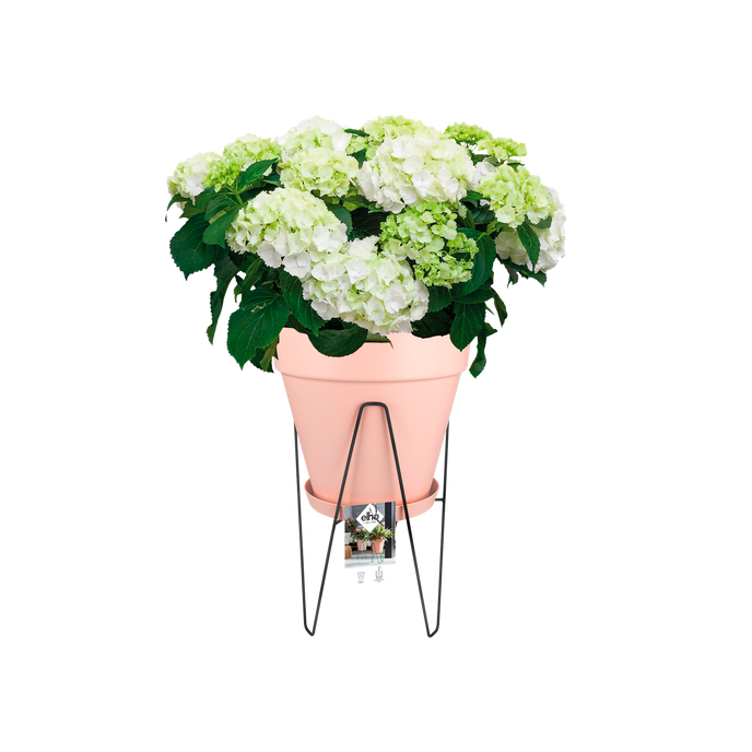 loft urban frame 30cm living black